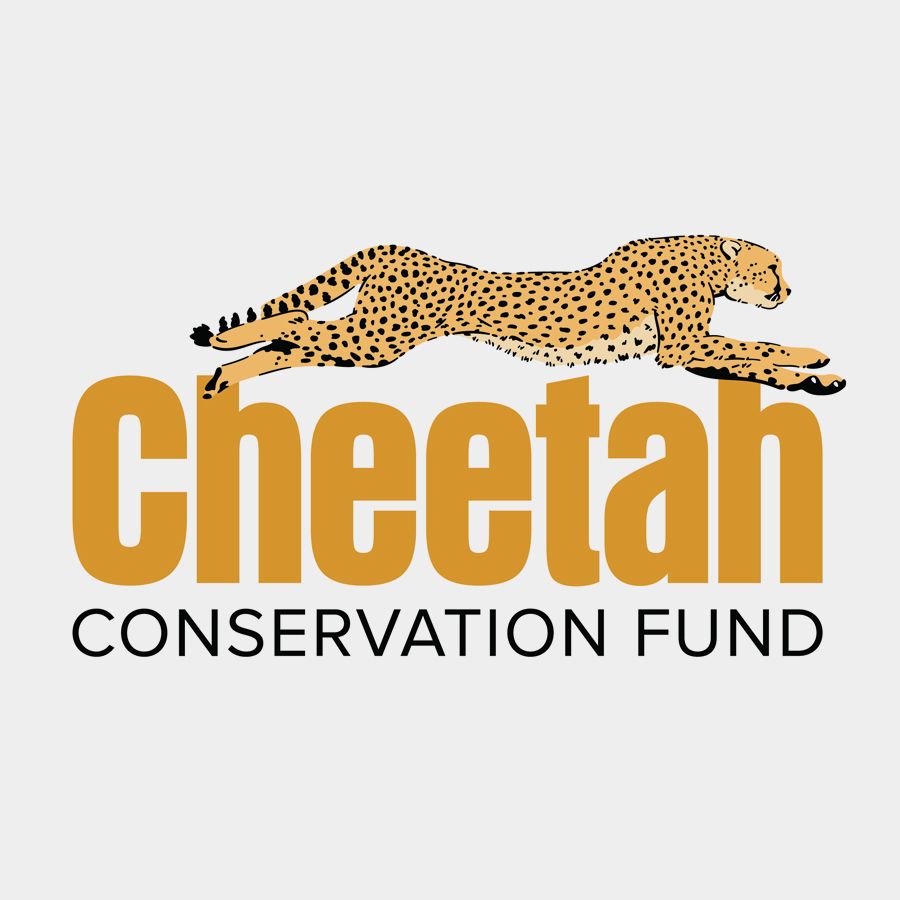 Cheetah Conservation Fund